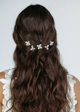 Load image into Gallery viewer, Callie Bobby Pin