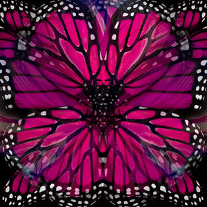 Luly Yang Signature Fuchsia Monarch Silk Scarf