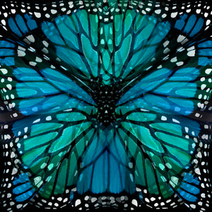 Luly Yang Signature Blue Monarch Silk Scarf